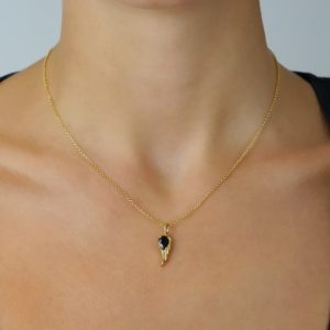 gregio kolie me mauro zirgon xruso